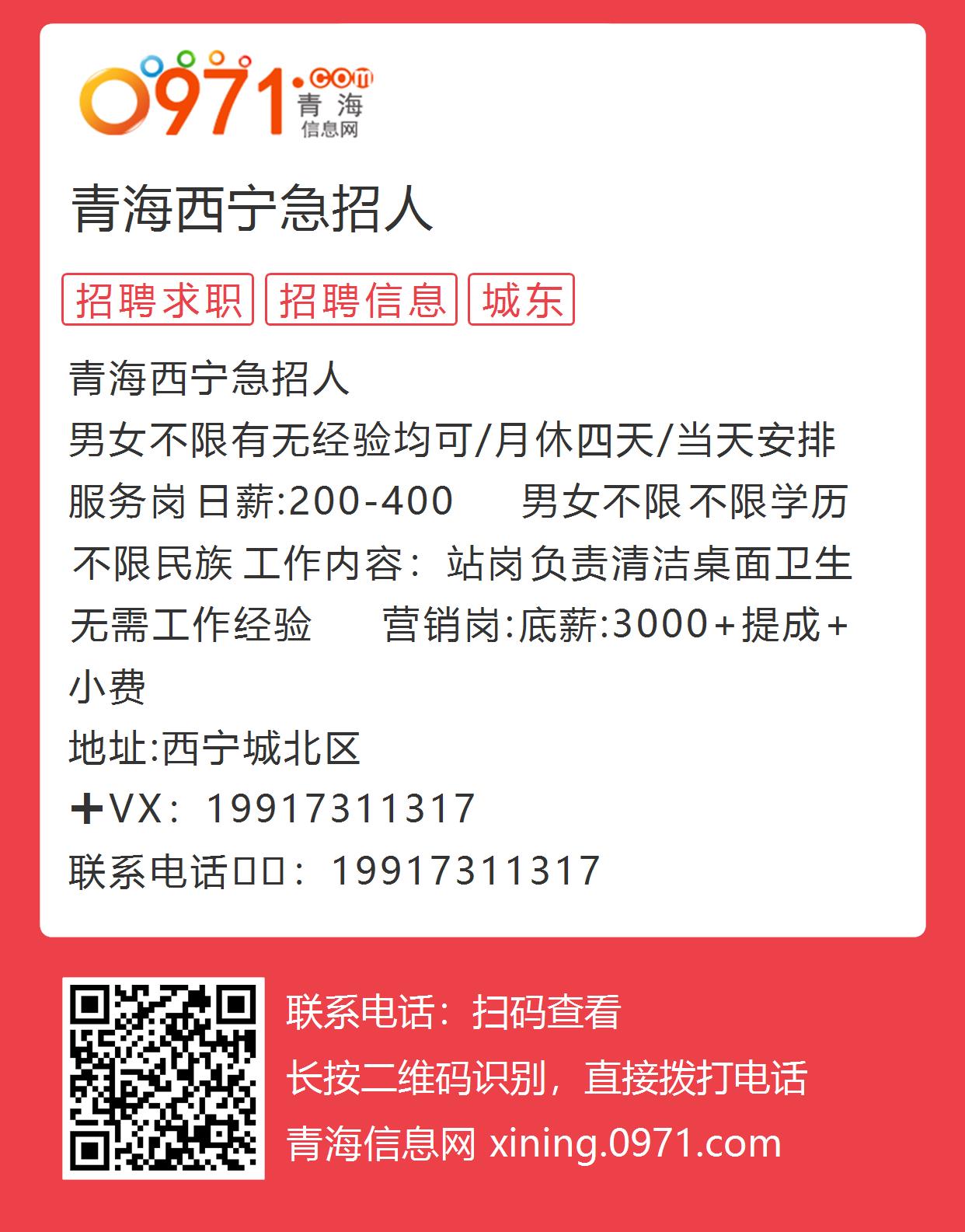 青海西寧最新招聘信息概覽，求職者的必備指南