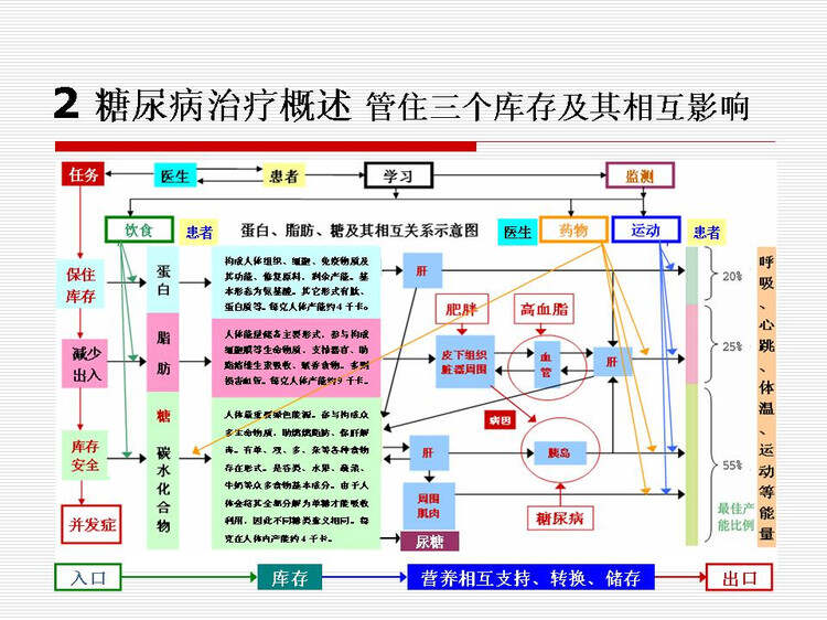 二型糖尿病最新療法研究與應(yīng)用進(jìn)展