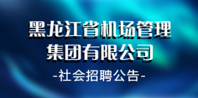 哈爾濱信息網(wǎng)最新招聘動態(tài)，影響與展望