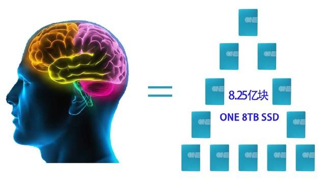 最新腦科學研究揭秘未知領(lǐng)域，重塑未來世界新篇章