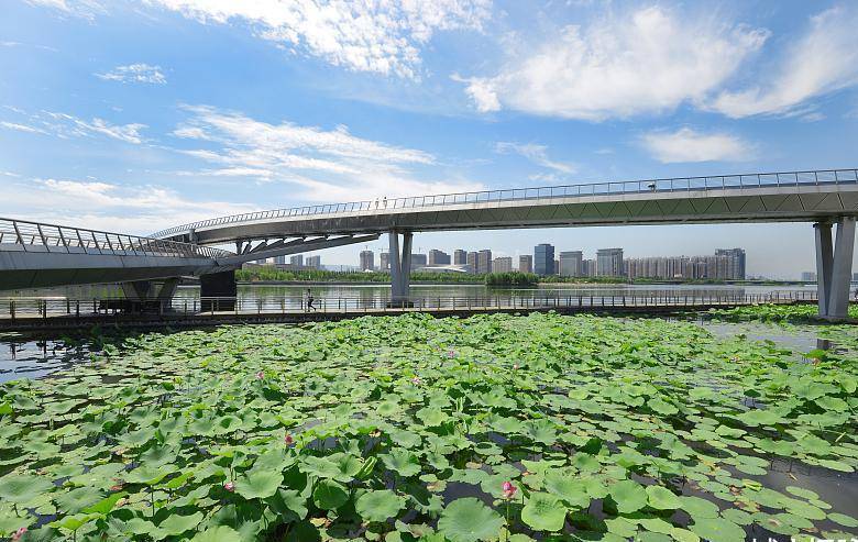 萊蕪與濟南合并最新動態(tài)，城市融合發(fā)展的前景展望