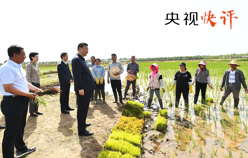 下坳村民委員會交通新聞更新，最新動態(tài)與進展