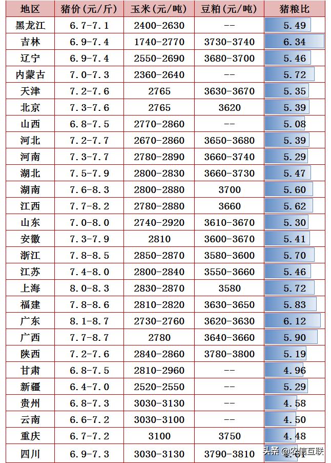 最新豬價新聞，市場走勢分析與預(yù)測