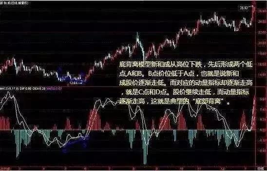 2024新奧歷史開獎(jiǎng)記錄香港1｜實(shí)用技巧與詳細(xì)解析