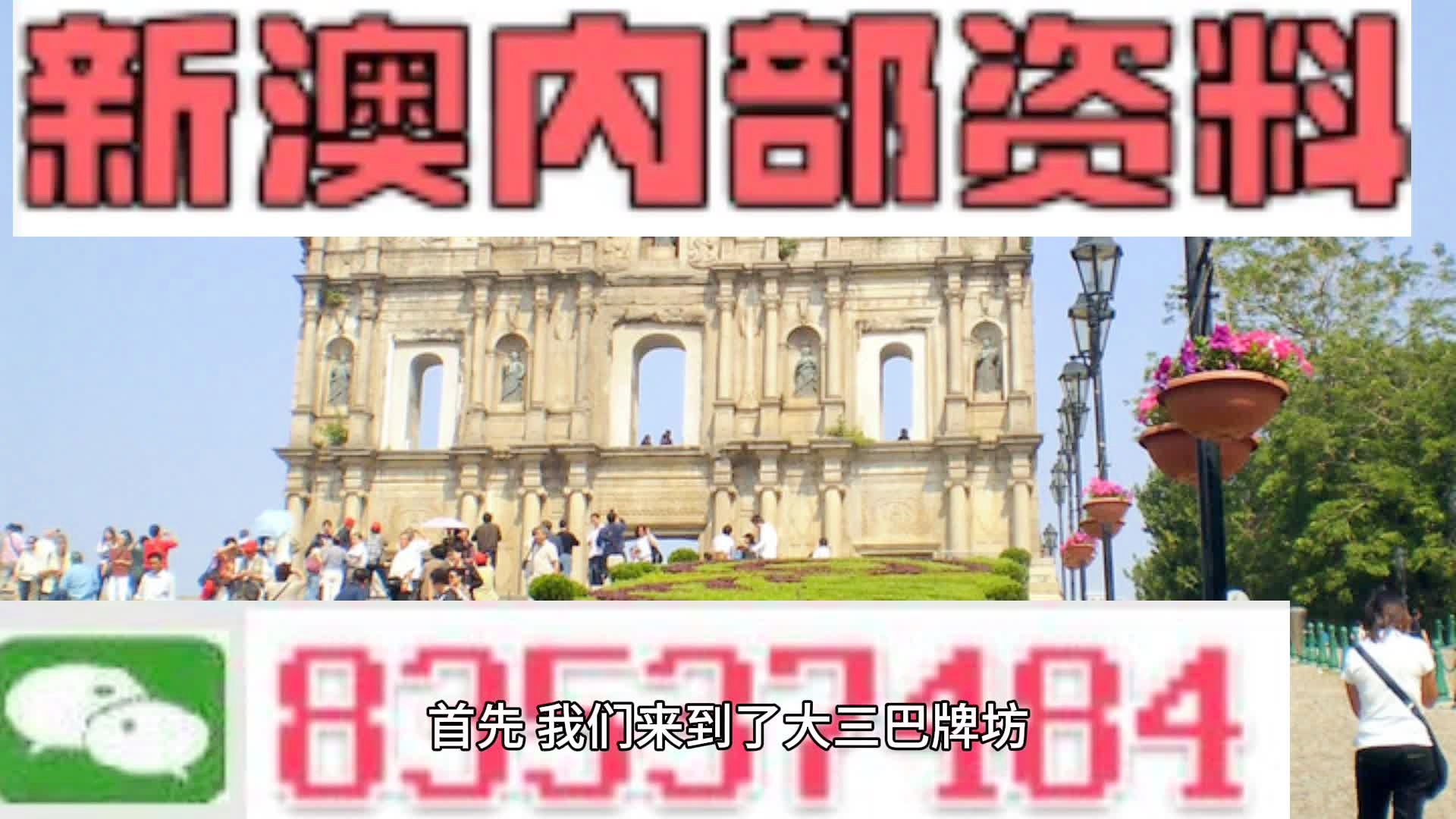 2024年新澳資料免費公開,權(quán)威解析說明_豪華版69.504