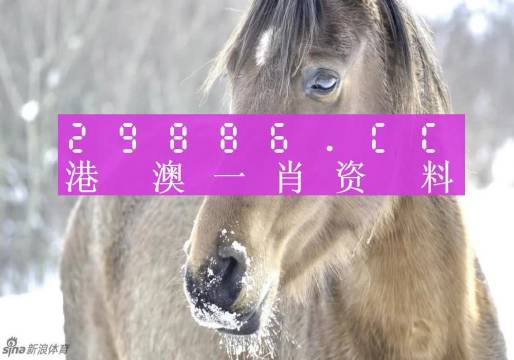 最準(zhǔn)一肖一碼100%澳門(mén),動(dòng)態(tài)詞語(yǔ)解釋落實(shí)_UHD12.790