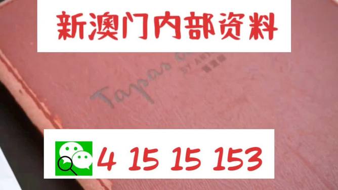 澳門內(nèi)部最準資料澳門,效率資料解釋落實_DP38.835