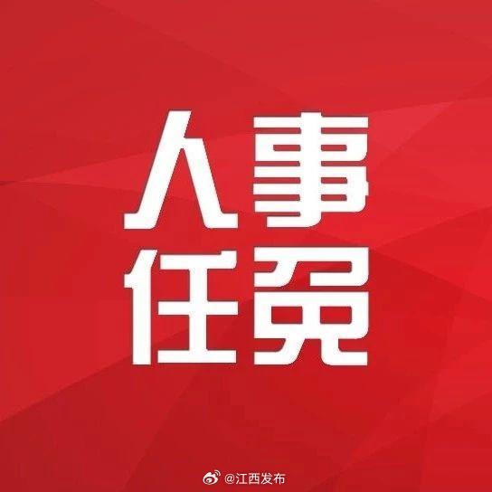 宜春市最新人事任免動(dòng)態(tài)更新