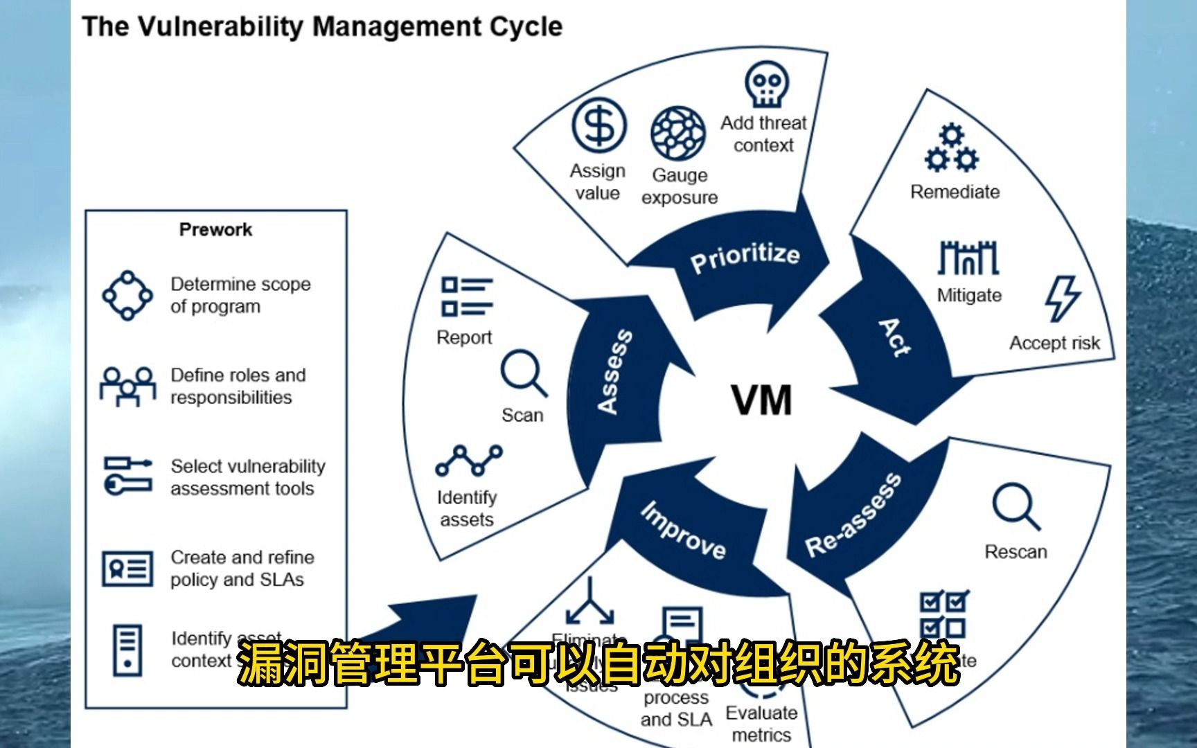 VMP最新版，優(yōu)勢(shì)與特點(diǎn)深度探索